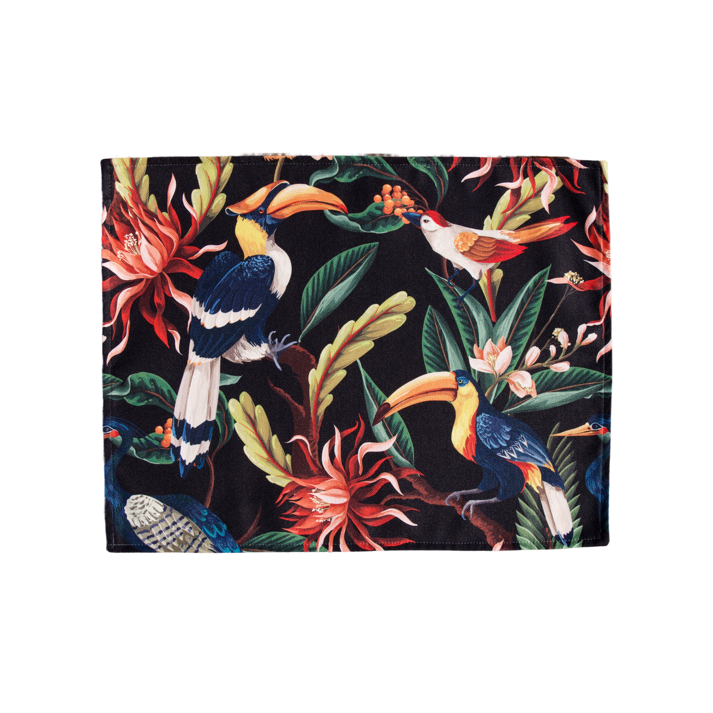 Toucans
